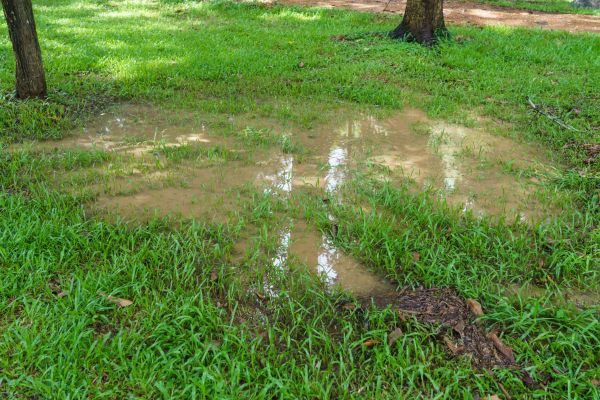 Cost of Storm Water Drainage Service in Leland