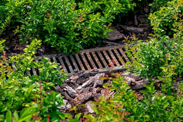 Cost of Underground Drainage Service in Leland