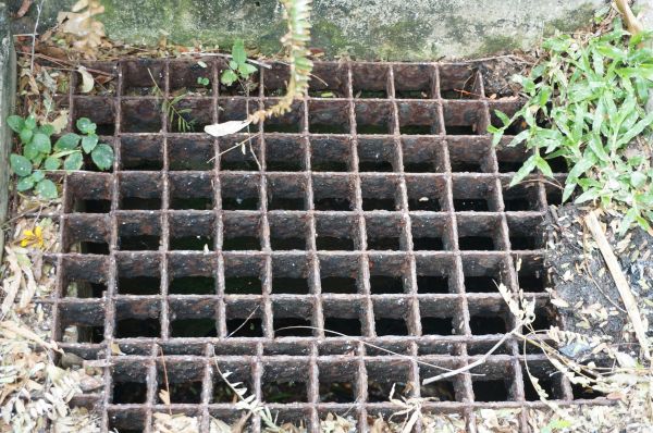 Cost of Yard Drain Cleaning in Leland