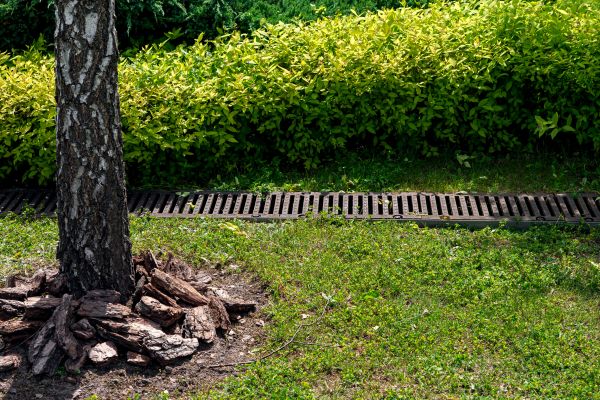 Cost of Wet Yard Drainage in Leland