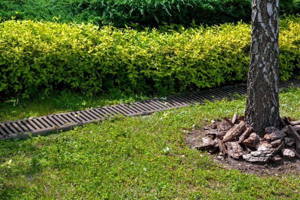 Cost of Residential Landscape Drainage in Leland