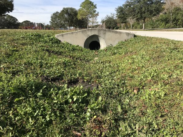 Cost of Swale Drainage Service in Leland